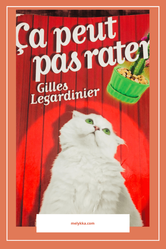 illustration roman gilles le legardinier
